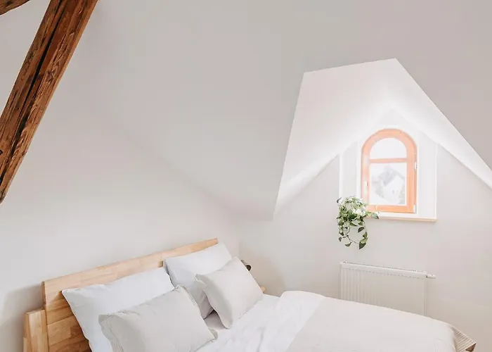 Za Stromem Guest house 3*